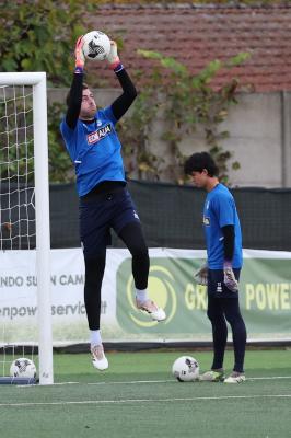 MEZZOLARA - SPAL ARS ET LABOR