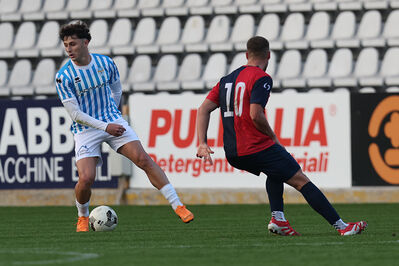 SPAL ARS ET LABOR - PIETRACUTA