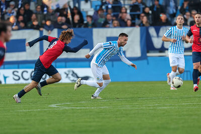 SPAL ARS ET LABOR - PIETRACUTA