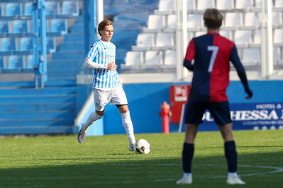 SPAL ARS ET LABOR - PIETRACUTA