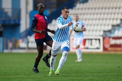 SPAL ARS ET LABOR - PIETRACUTA
