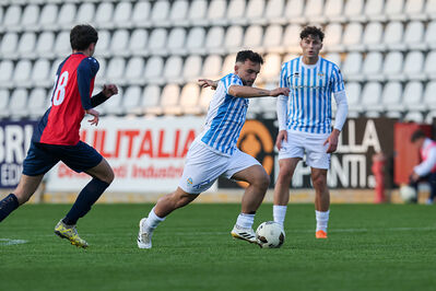 SPAL ARS ET LABOR - PIETRACUTA