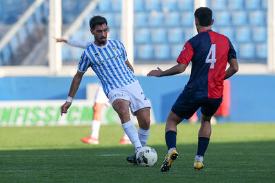 SPAL ARS ET LABOR - PIETRACUTA