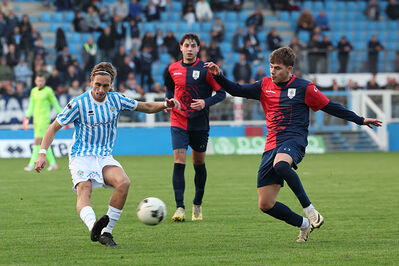 SPAL ARS ET LABOR - PIETRACUTA