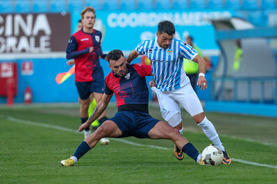 SPAL ARS ET LABOR - PIETRACUTA