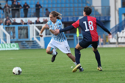 SPAL ARS ET LABOR - PIETRACUTA