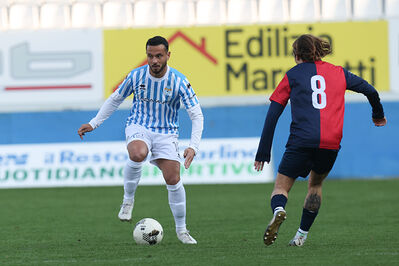 SPAL ARS ET LABOR - PIETRACUTA