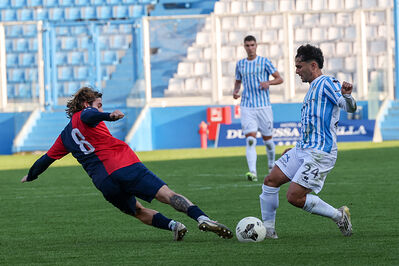 SPAL ARS ET LABOR - PIETRACUTA