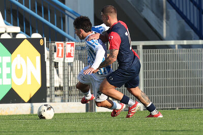 SPAL ARS ET LABOR - PIETRACUTA