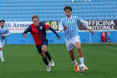 SPAL ARS ET LABOR - PIETRACUTA