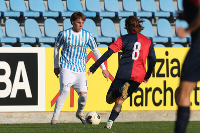 SPAL ARS ET LABOR - PIETRACUTA