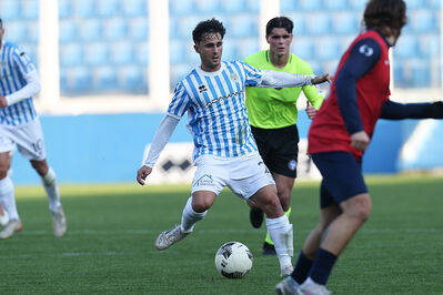 SPAL ARS ET LABOR - PIETRACUTA