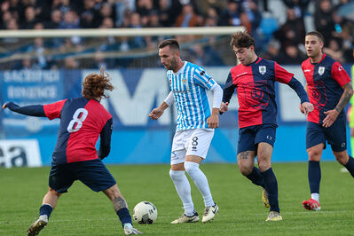 SPAL ARS ET LABOR - PIETRACUTA