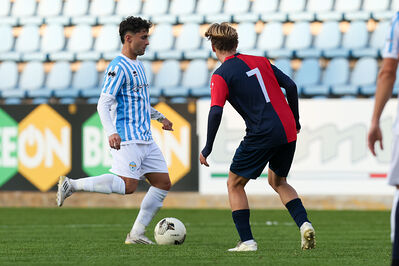 SPAL ARS ET LABOR - PIETRACUTA