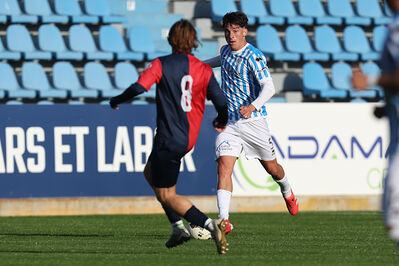 SPAL ARS ET LABOR - PIETRACUTA