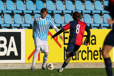 SPAL ARS ET LABOR - PIETRACUTA