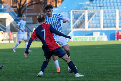 SPAL ARS ET LABOR - PIETRACUTA