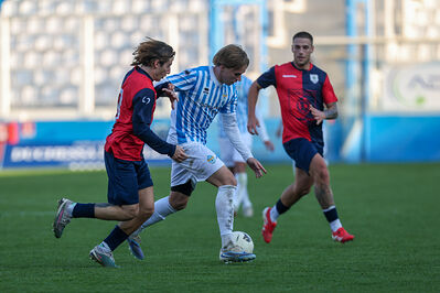 SPAL ARS ET LABOR - PIETRACUTA