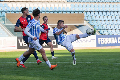 SPAL ARS ET LABOR - PIETRACUTA