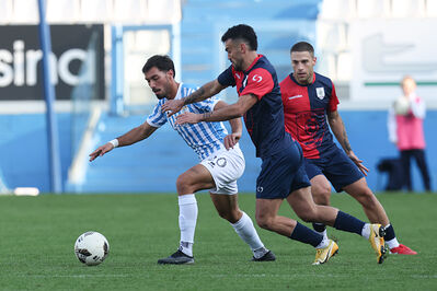 SPAL ARS ET LABOR - PIETRACUTA