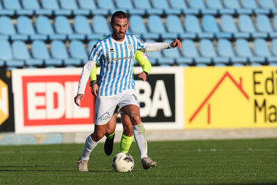 SPAL ARS ET LABOR - PIETRACUTA