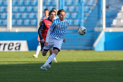 SPAL ARS ET LABOR - PIETRACUTA