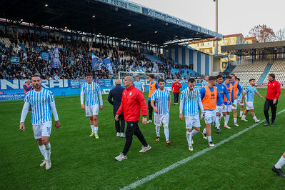 SPAL ARS ET LABOR - PIETRACUTA