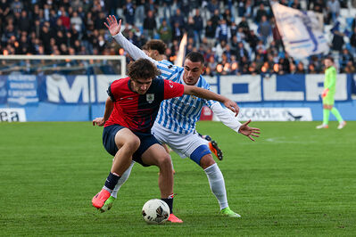 SPAL ARS ET LABOR - PIETRACUTA