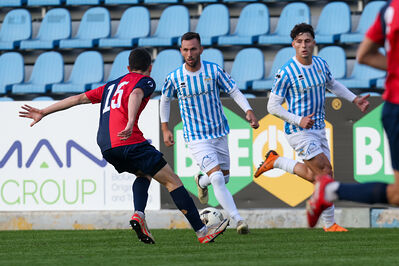 SPAL ARS ET LABOR - PIETRACUTA