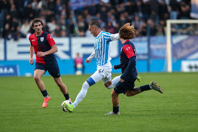 SPAL ARS ET LABOR - PIETRACUTA