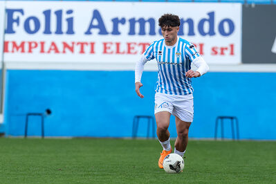 SPAL ARS ET LABOR - PIETRACUTA