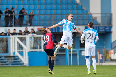 SPAL ARS ET LABOR - PIETRACUTA