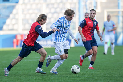 SPAL ARS ET LABOR - PIETRACUTA