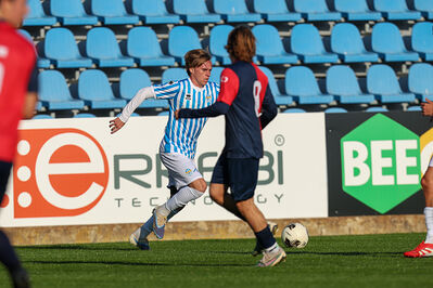 SPAL ARS ET LABOR - PIETRACUTA