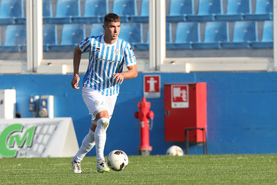 SPAL ARS ET LABOR - PIETRACUTA