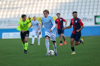 SPAL ARS ET LABOR - PIETRACUTA