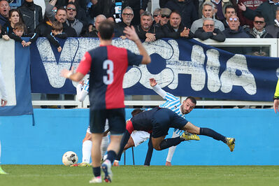 SPAL ARS ET LABOR - PIETRACUTA