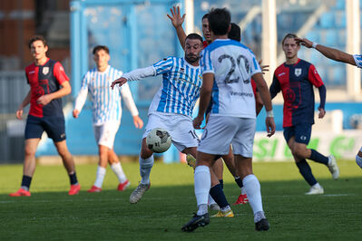 SPAL ARS ET LABOR - PIETRACUTA