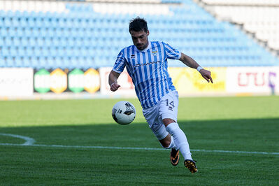 SPAL ARS ET LABOR - PIETRACUTA