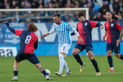 SPAL ARS ET LABOR - PIETRACUTA