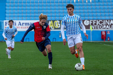 SPAL ARS ET LABOR - PIETRACUTA