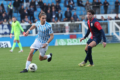 SPAL ARS ET LABOR - PIETRACUTA