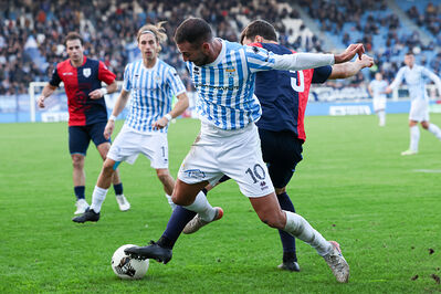 SPAL ARS ET LABOR - PIETRACUTA