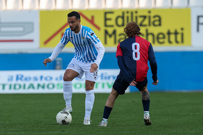 SPAL ARS ET LABOR - PIETRACUTA