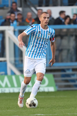 SPAL ARS ET LABOR - PIETRACUTA