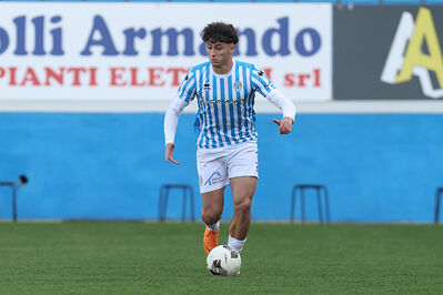 SPAL ARS ET LABOR - PIETRACUTA