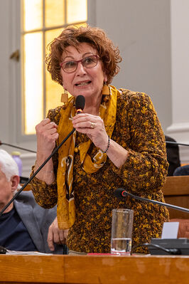 CONSIGLIO COMUNALE DI FERRARA