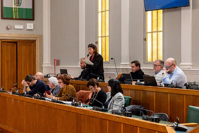 CONSIGLIO COMUNALE DI FERRARA