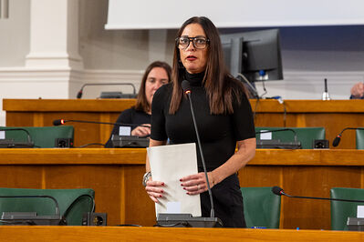 CONSIGLIO COMUNALE DI FERRARA