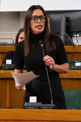 CONSIGLIO COMUNALE DI FERRARA